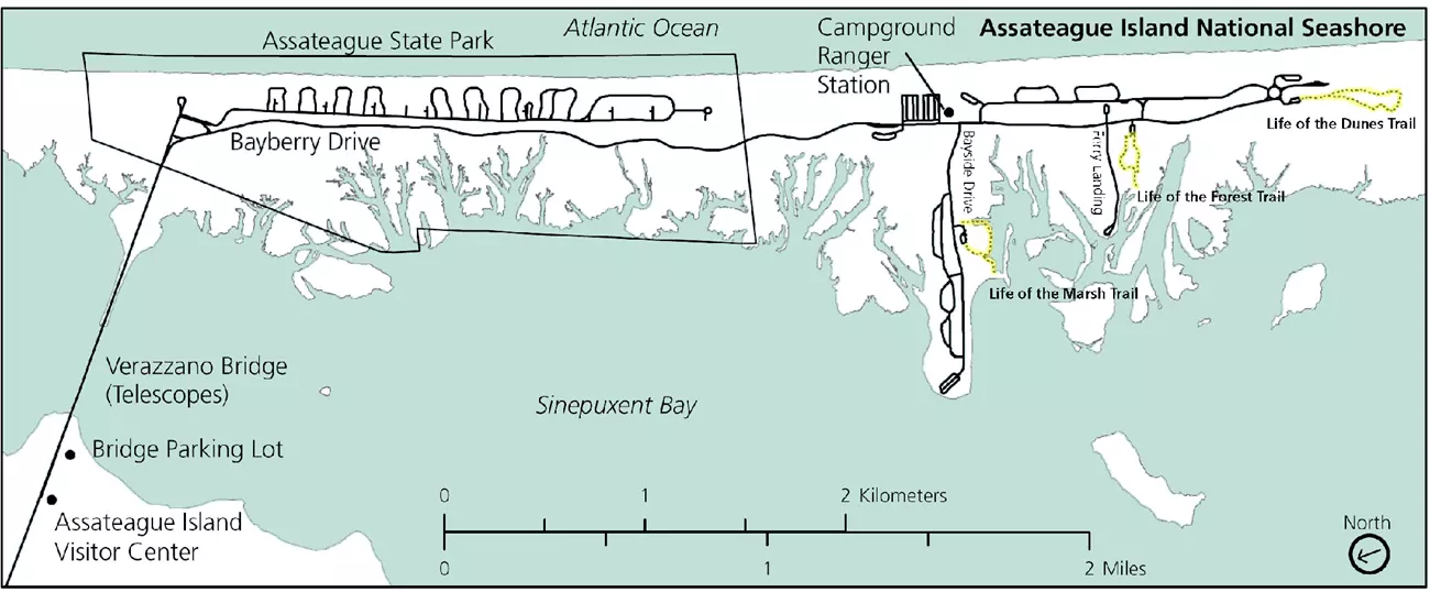 Main Assateague area map
