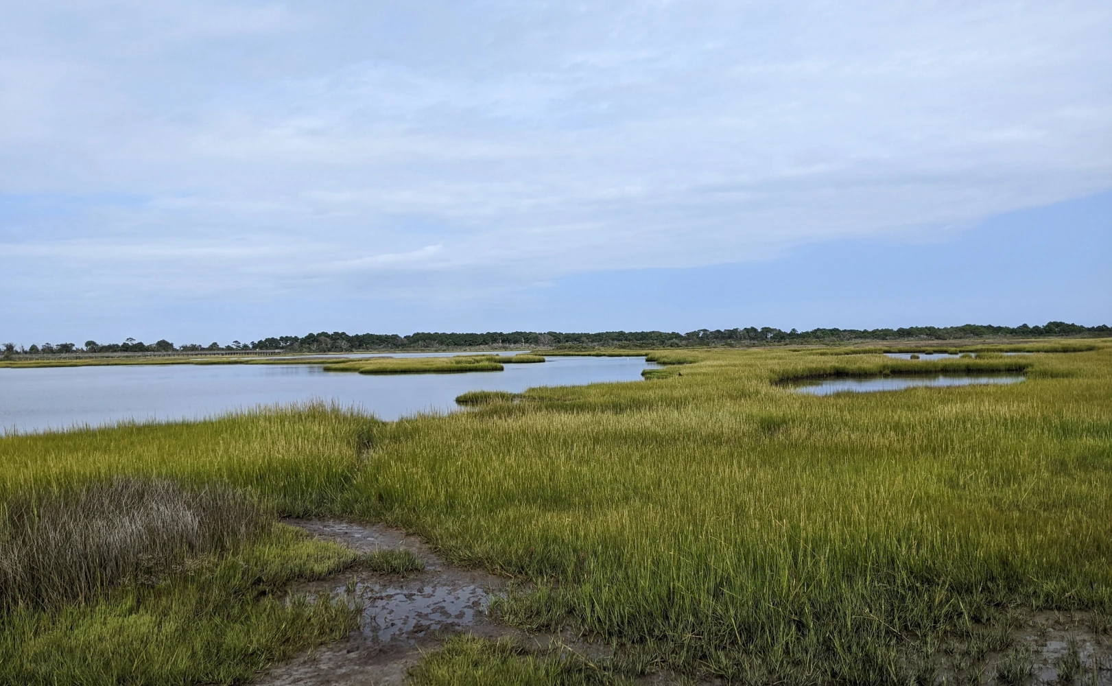 The nearby marsh