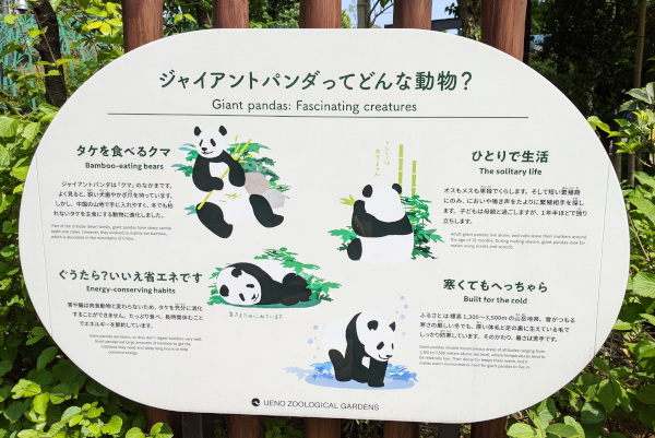 Ueno Zoo, Panda Sign