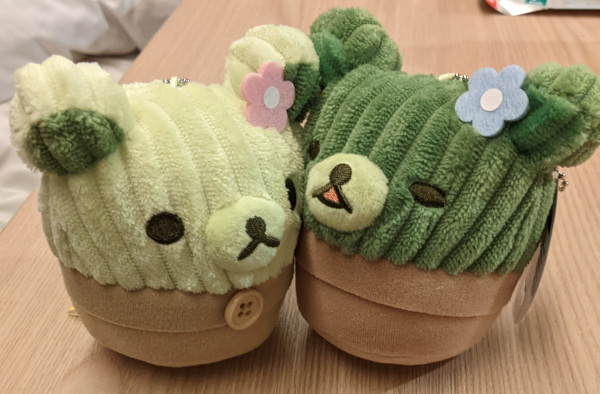 Two Rilakkuma Cacti