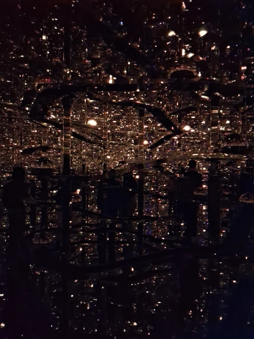 Teamlabs, Borderless, a room