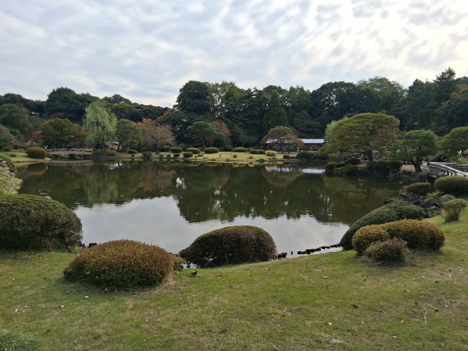 Shinjuku Gyoen, Pond