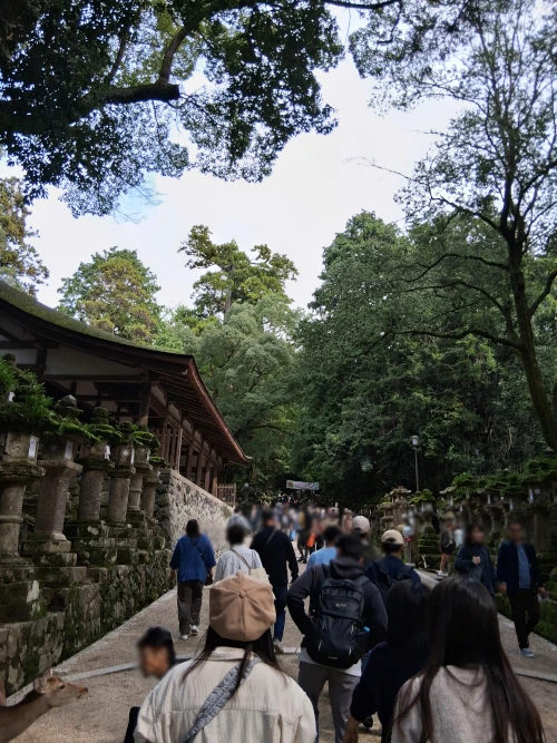 Kasugataisha Shrine
