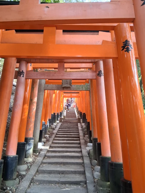 Kyoto, Fushimi Inari Shrine, Torii Gates when going up