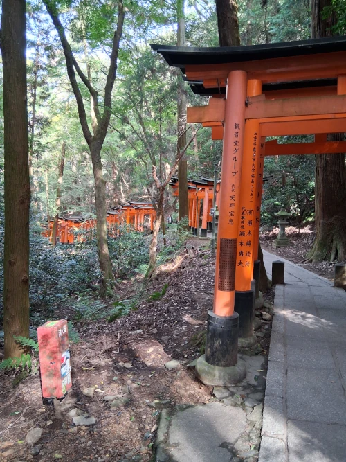 Kyoto, Fushimi Inari Shrine, Torii Gates when going down