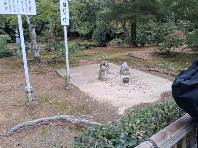 Kinkaku-ji Money throwing game