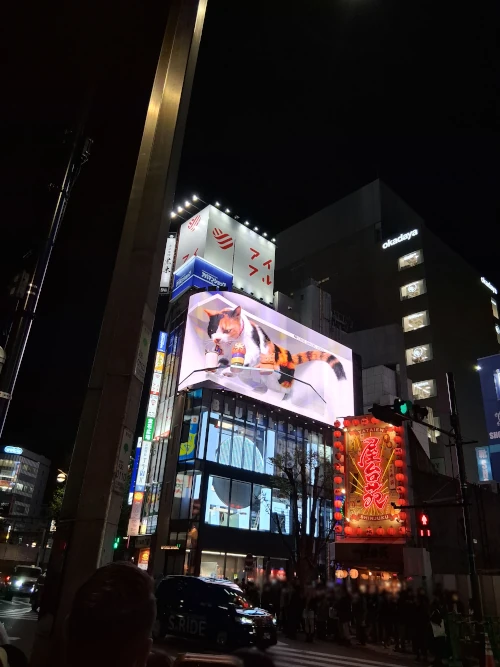Shinjuku, 3d cat billboard