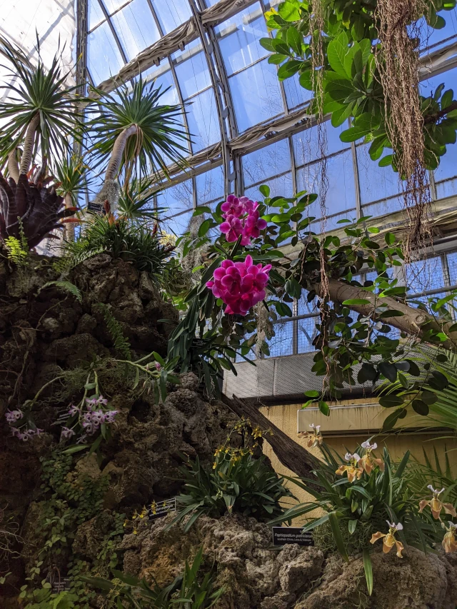 washington dc botanical gardens