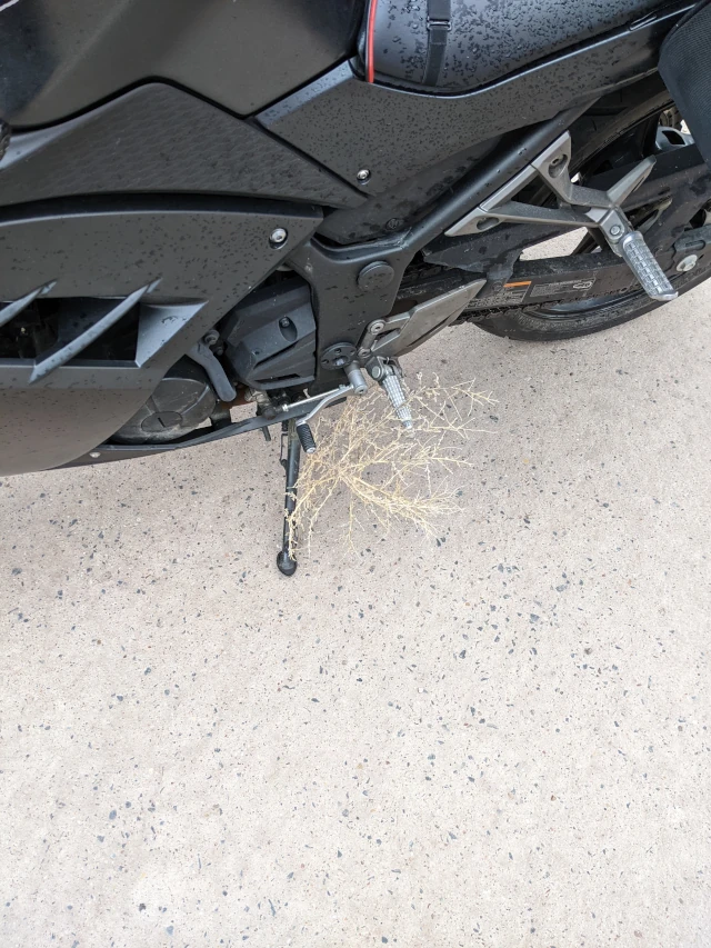 tumbleweed on ninja 300 at jack rabbit trading post, arizona