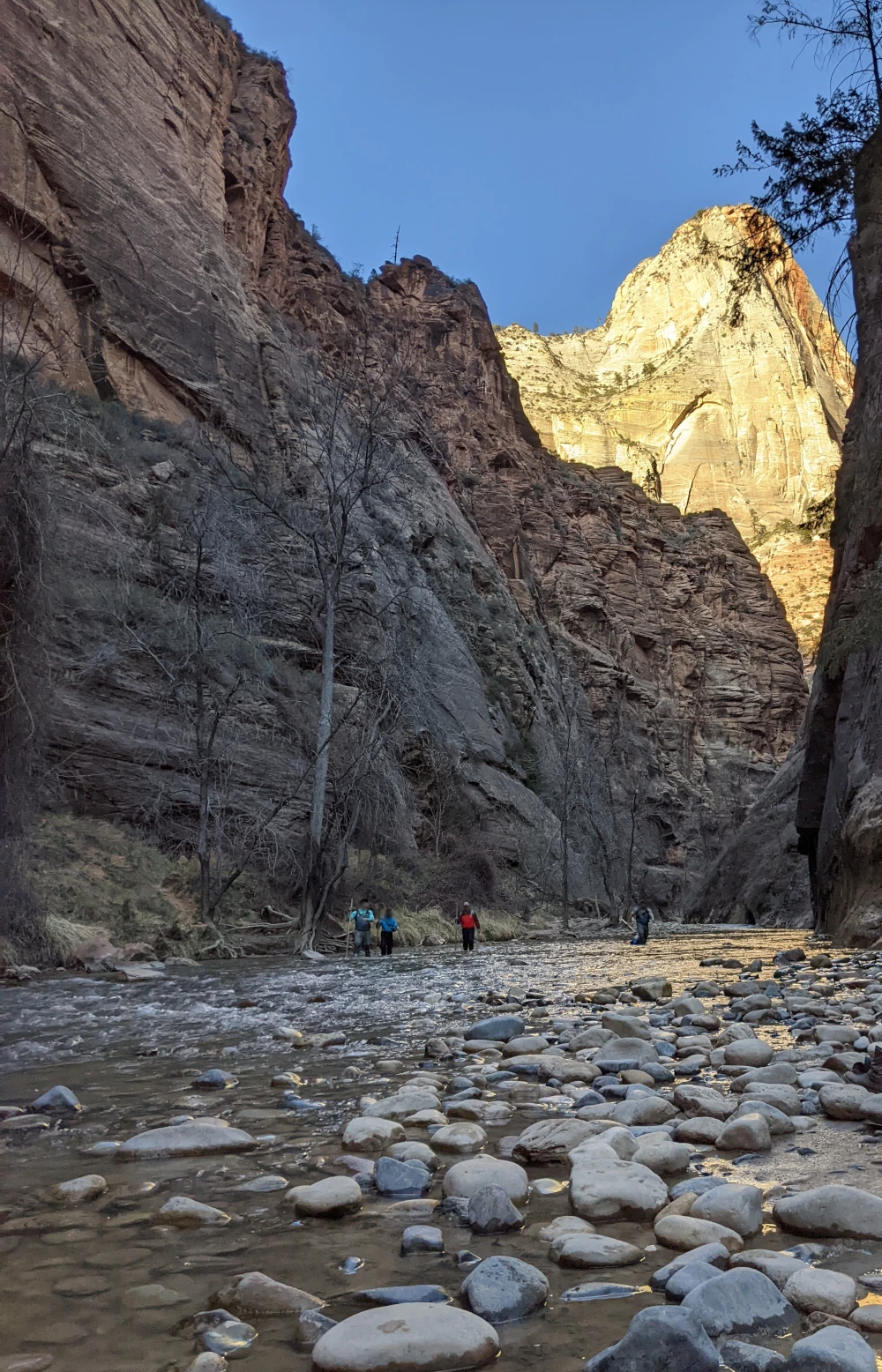 narrows at zion national park