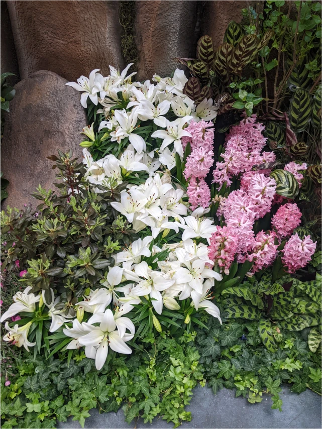 bellagio garden flowers