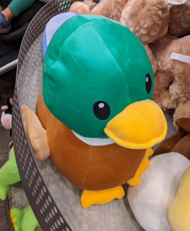dollywood duck plush merch